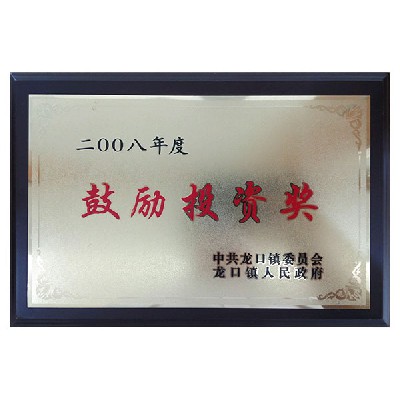 鼓励投资奖2008年度