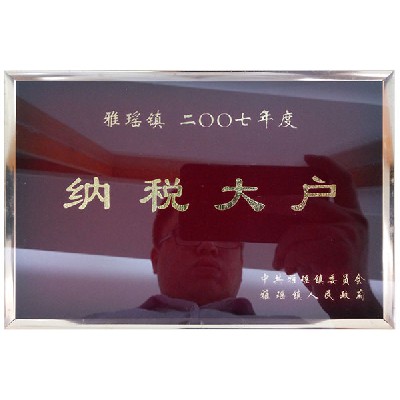 纳税大户2007年度