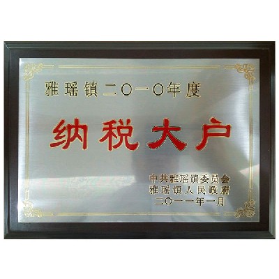 纳税大户2010年度