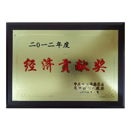 Economic contribution award 2012